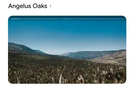 Angelus Oaks California